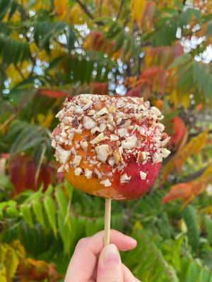 Trick or Treat - Try Our Toffee Apple Recipe!