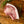 Load image into Gallery viewer, Shropshire Pork Chops