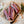 Load image into Gallery viewer, UK Ex Dairy Short Ribs