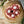 Load image into Gallery viewer, Shropshire Oxtail