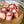 Load image into Gallery viewer, Shropshire Oxtail