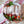 Load image into Gallery viewer, Shropshire Leg of Lamb