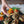 Load image into Gallery viewer, Wild Mushroom Crostini and Tomato Confit on Puff Pastry