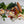 Load image into Gallery viewer, Fresh Produce