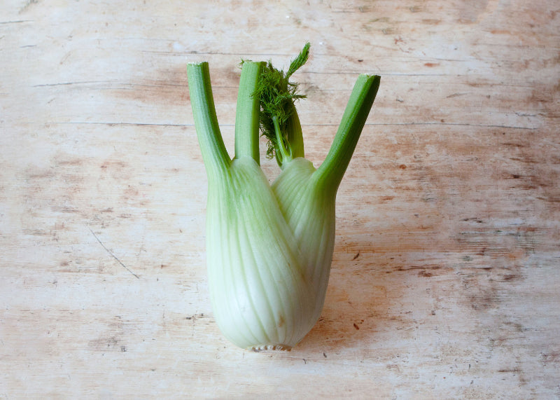 British Fennel