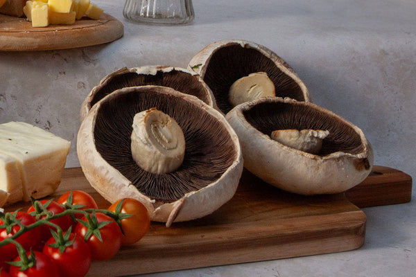 British Field Mushrooms