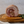 Load image into Gallery viewer, Porchetta
