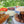 Load image into Gallery viewer, Wild boar sausages sausages and old cow burgers served with brioche buns, finger rolls, apple and carrot slaw, onions and cabbage toppings, grated gruyere cheese and fresh lettuce and tomatoes
