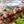 Load image into Gallery viewer, Chicken kebabs with white onion and Romano red peppers

