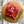Load image into Gallery viewer, Bavette Steak Night Box
