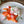 Load image into Gallery viewer, Cured Salmon with Creme Fraiche 
